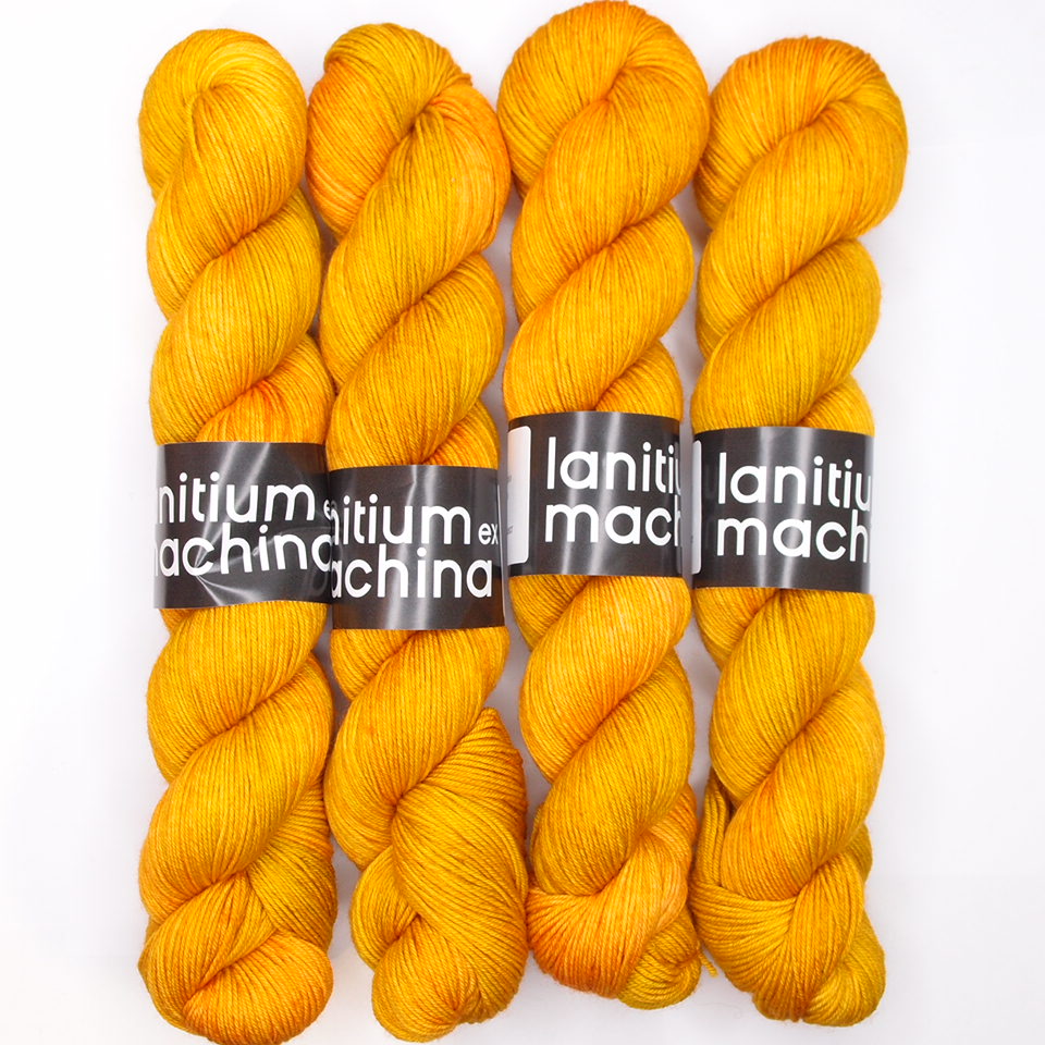 Lanitium ex Machina New Basic Sock